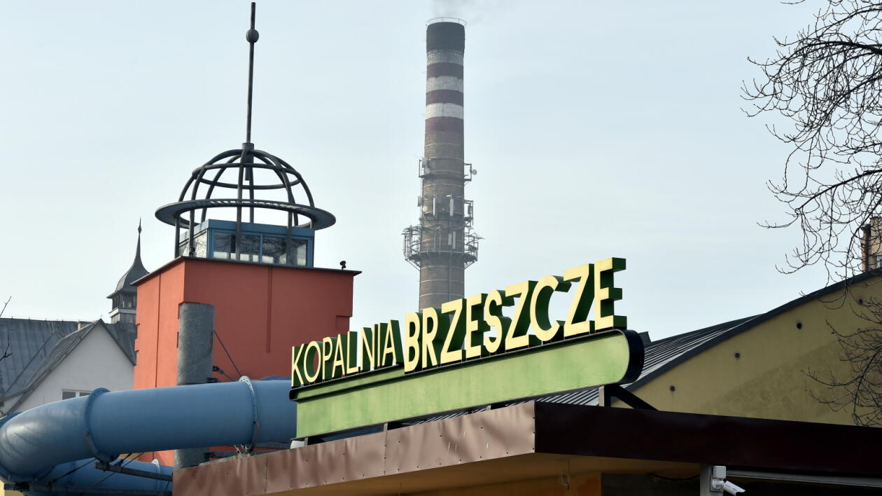Trzy oferty na Brzeszcze. Wybór możliwy jeszcze dzisiaj